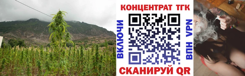 hydra онион  Красноармейск  Дистиллят ТГК Wax 