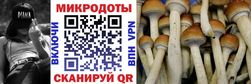 Галлюциногенные грибы мицелий  Красноармейск 